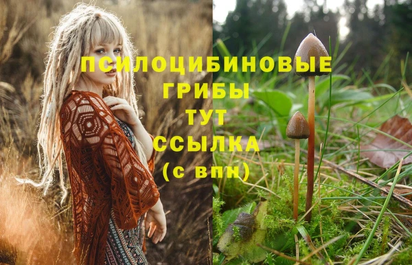 альфа пвп Нягань