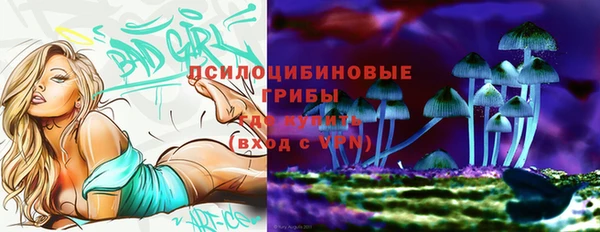 круглые Осташков