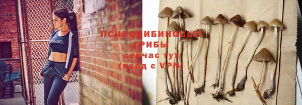 ECSTASY Остров