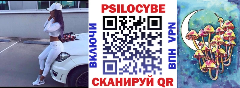 Псилоцибиновые грибы прущие грибы  Купить  Сусуман 